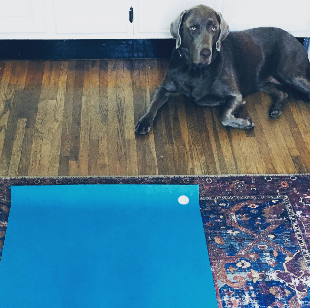 Yoga classes Juno