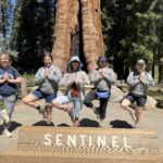 Tree pose of course